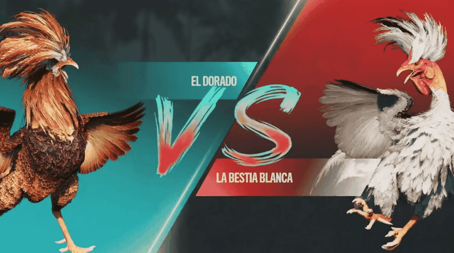 300jogo